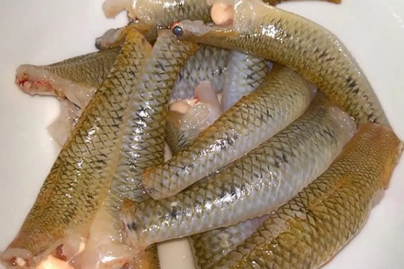 Cá bống tươi ngon - 260k/kg