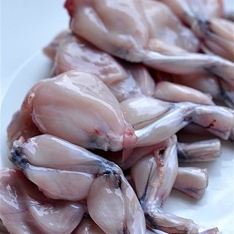 Địa chỉ bán đùi ếch tươi sạch