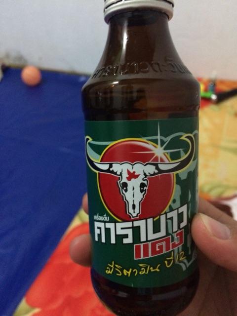 Giới thiệu về bò húc Lào