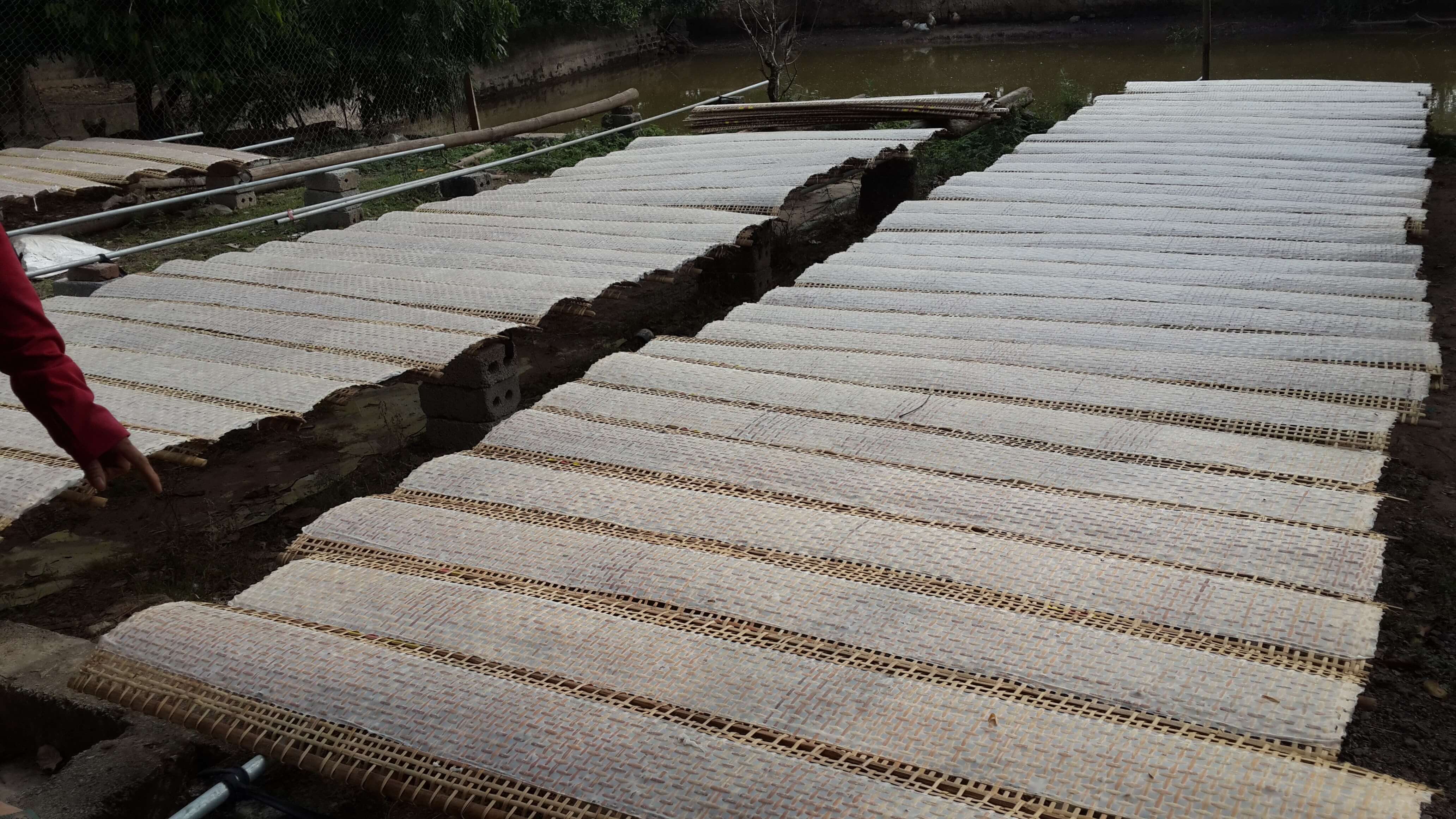 Thương hiệu bánh đa nem gắn liền với tên làng