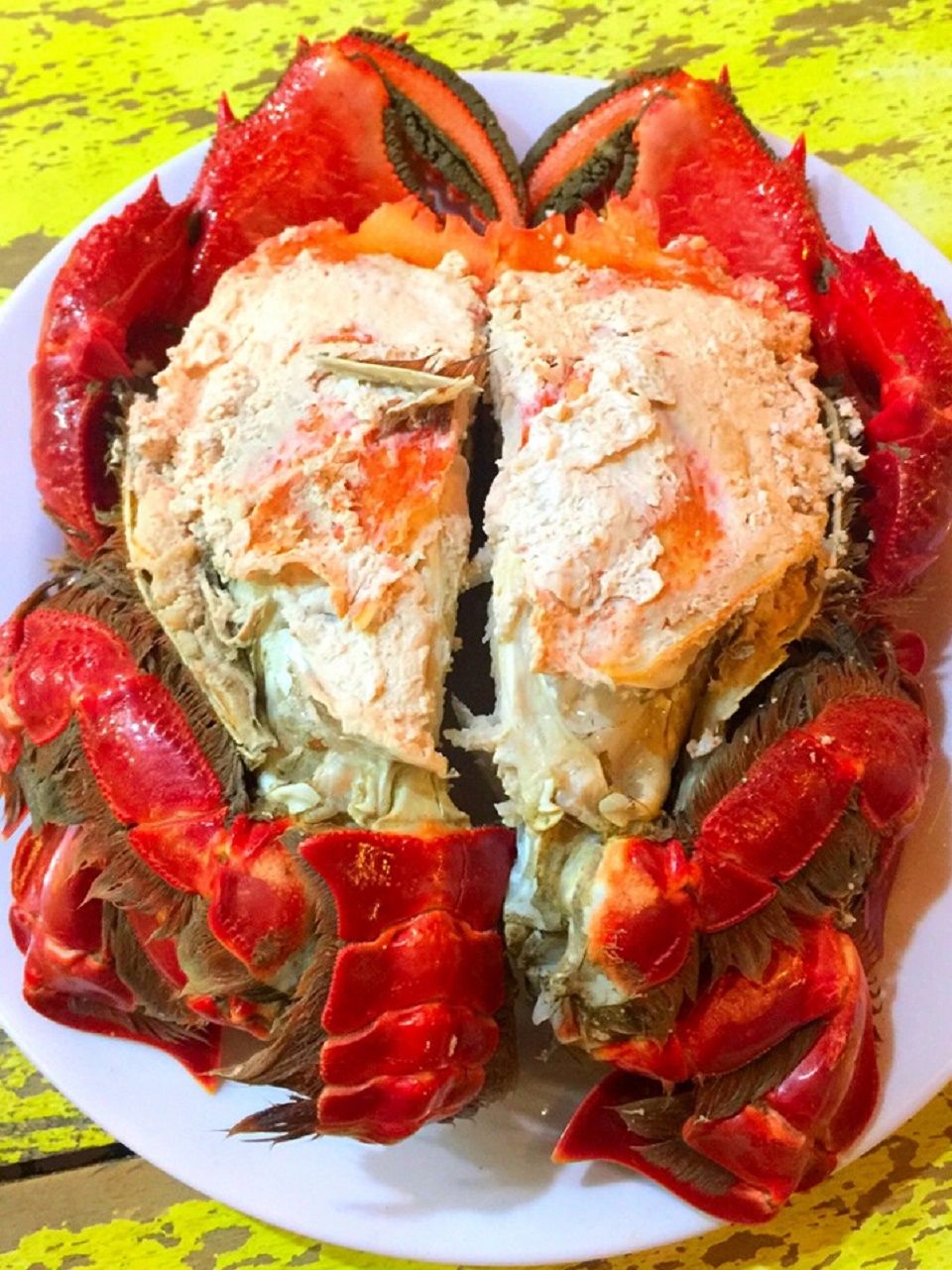 Giới thiệu về Cua Huỳnh Đế