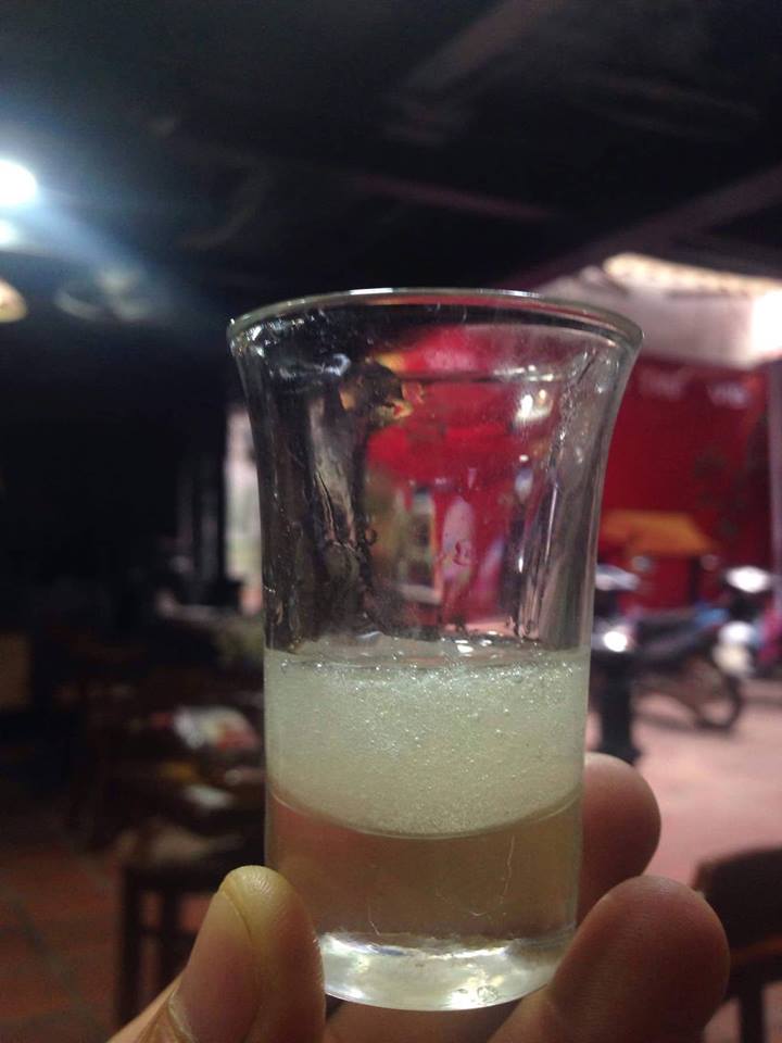 Mật ong từ cây hoa chân chim