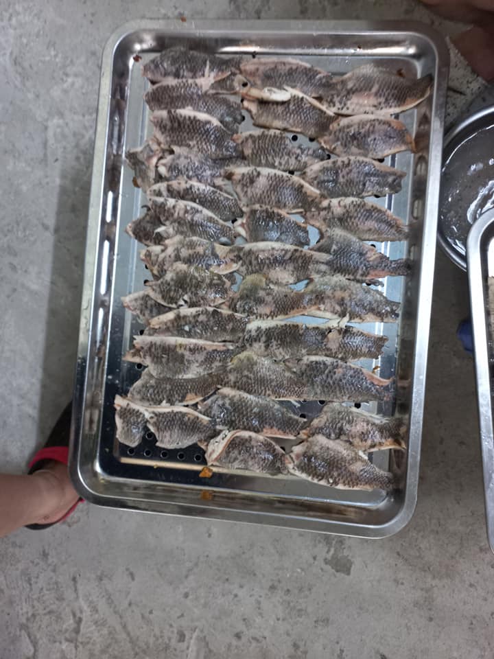 Mua cá rô đồng rút xương ở đâu?