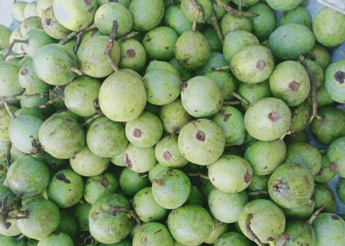 Hướng dẫn nấu canh chua cùng quả dọc