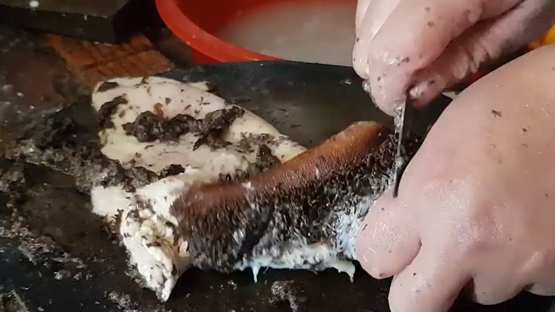 Cạo bẩn trên sách bò